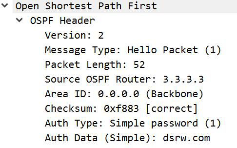 图片[3]-3.3 OSPF特性-大赛人网