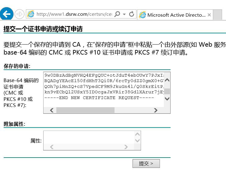 图片[11]-9.3 在Web服务器上配置证书服务-大赛人网